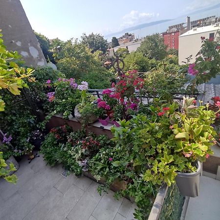 Apartament Apartman Bella Vista Rijeka Zewnętrze zdjęcie