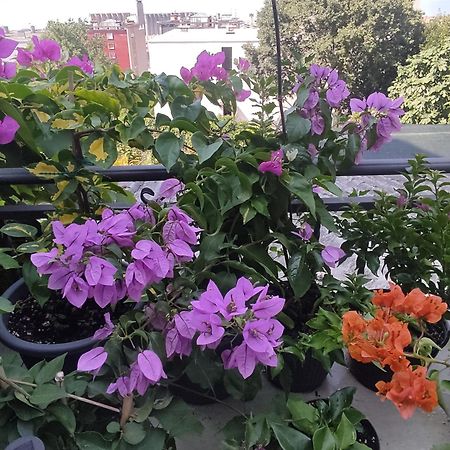 Apartament Apartman Bella Vista Rijeka Zewnętrze zdjęcie