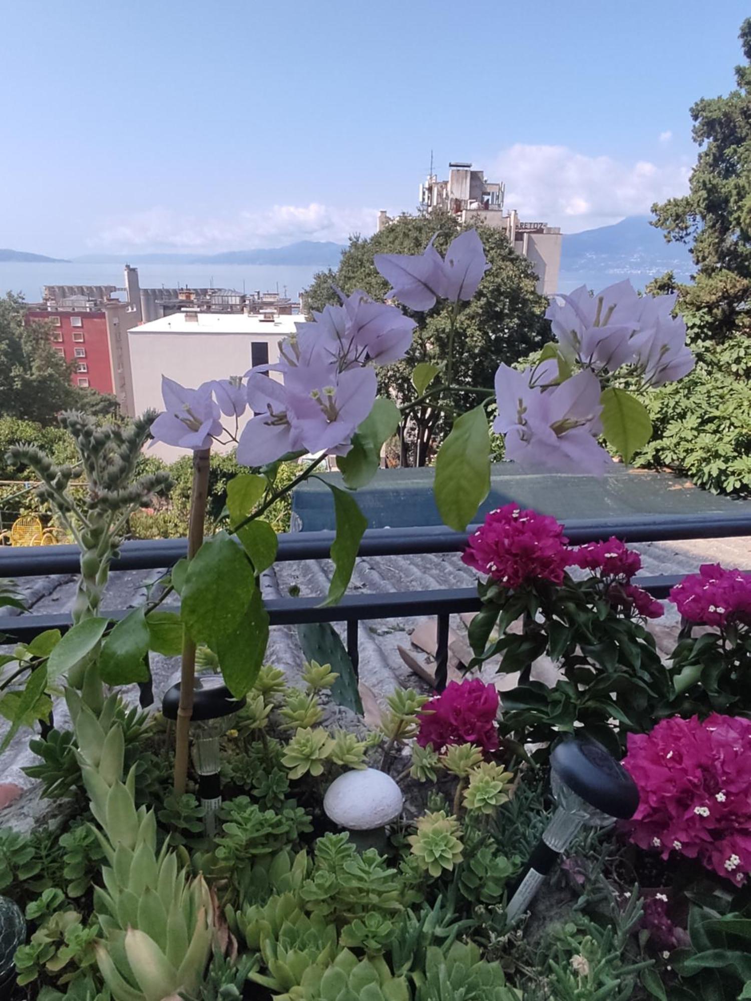 Apartament Apartman Bella Vista Rijeka Zewnętrze zdjęcie