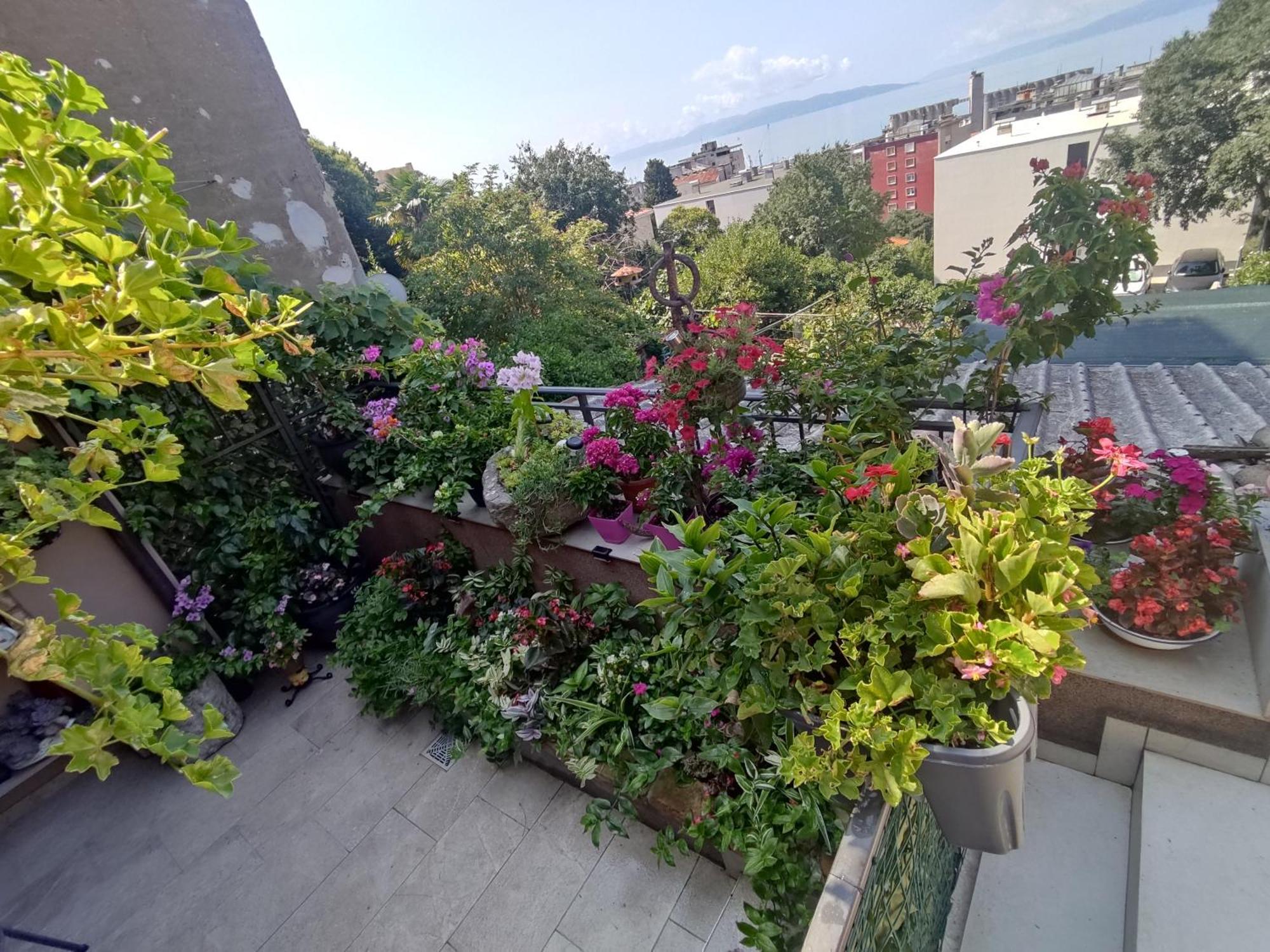 Apartament Apartman Bella Vista Rijeka Zewnętrze zdjęcie