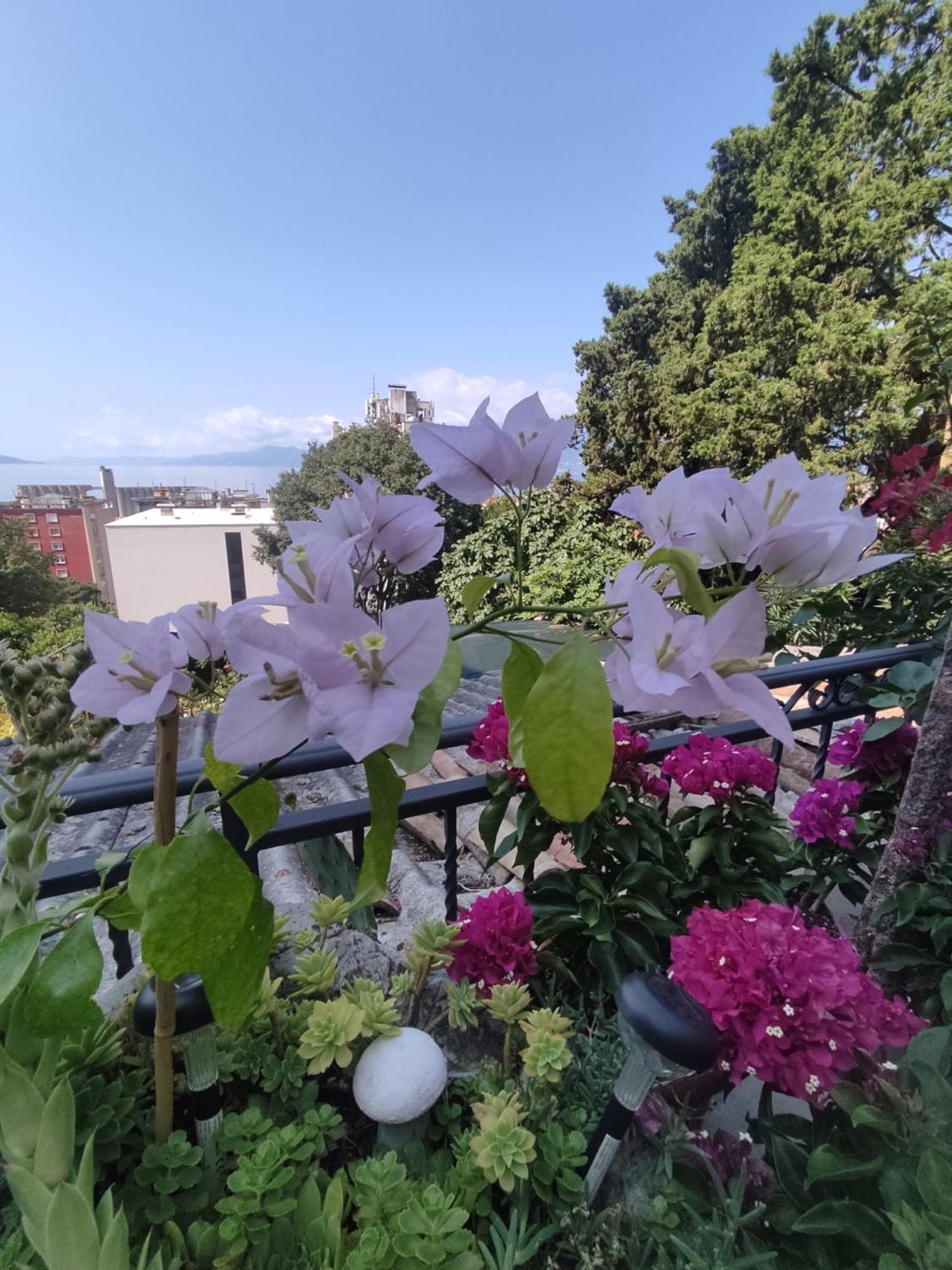 Apartament Apartman Bella Vista Rijeka Zewnętrze zdjęcie